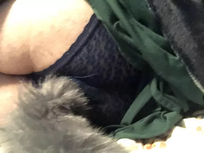 All dressed up and nowhere to go. by 10TickleMonster