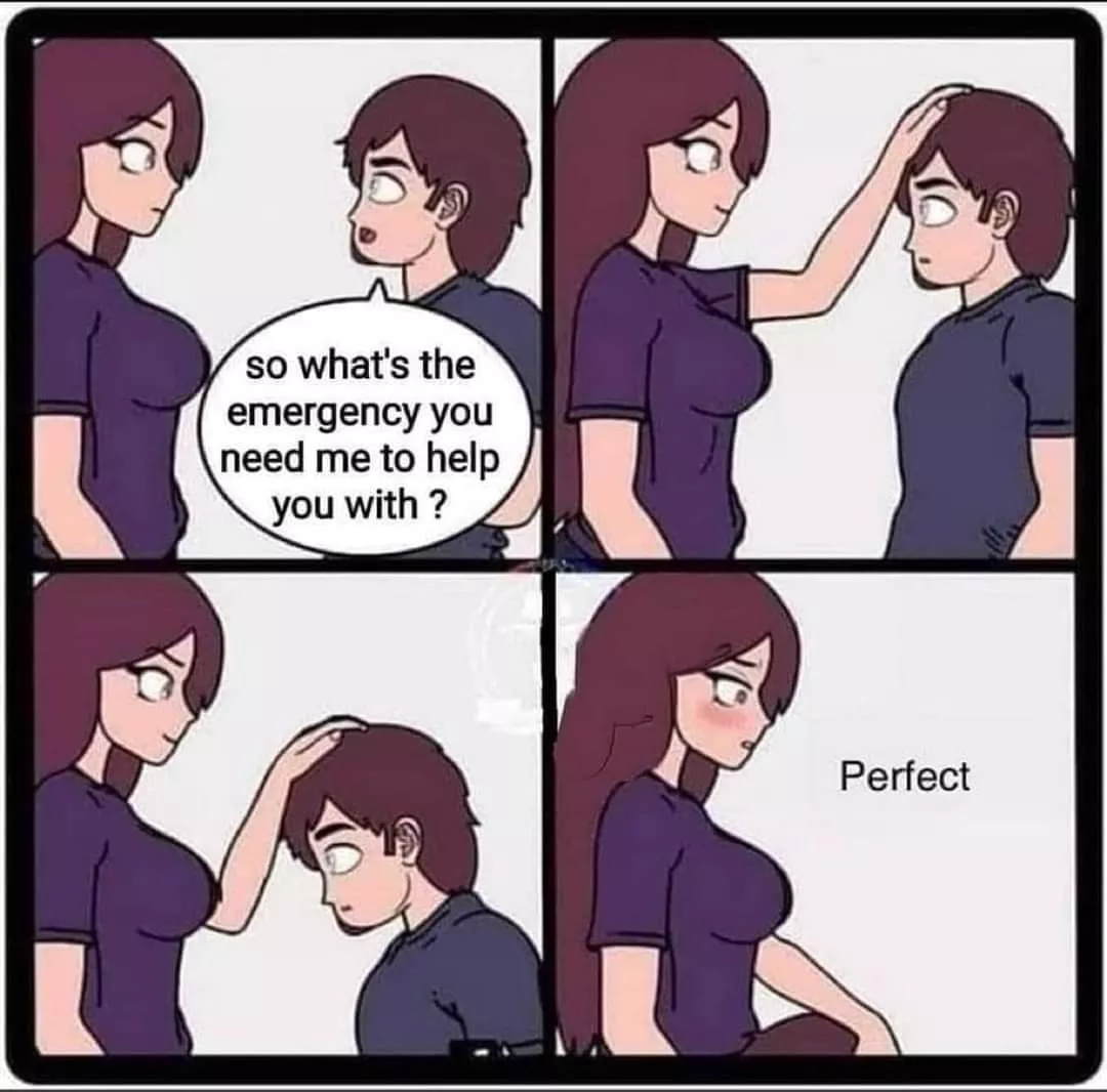 All emergencies are important. posted by MacPoggers