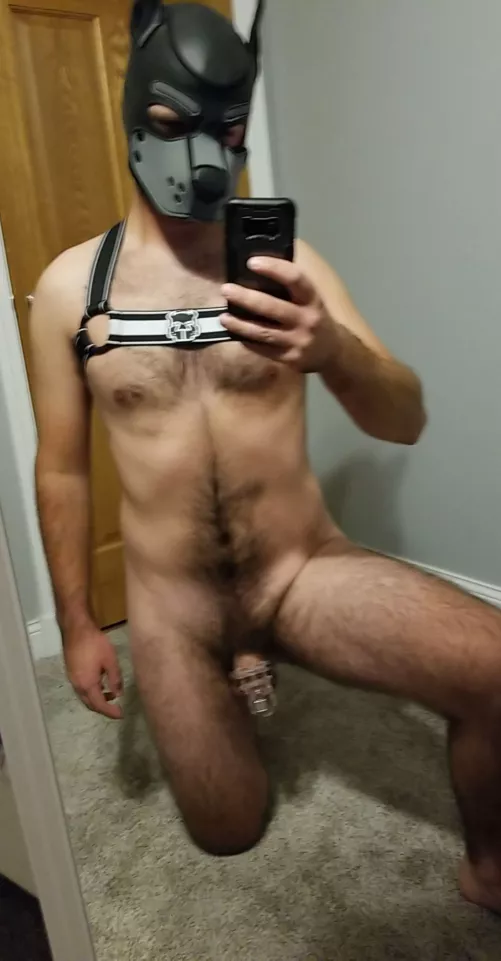 All locked up! by bicurious1516