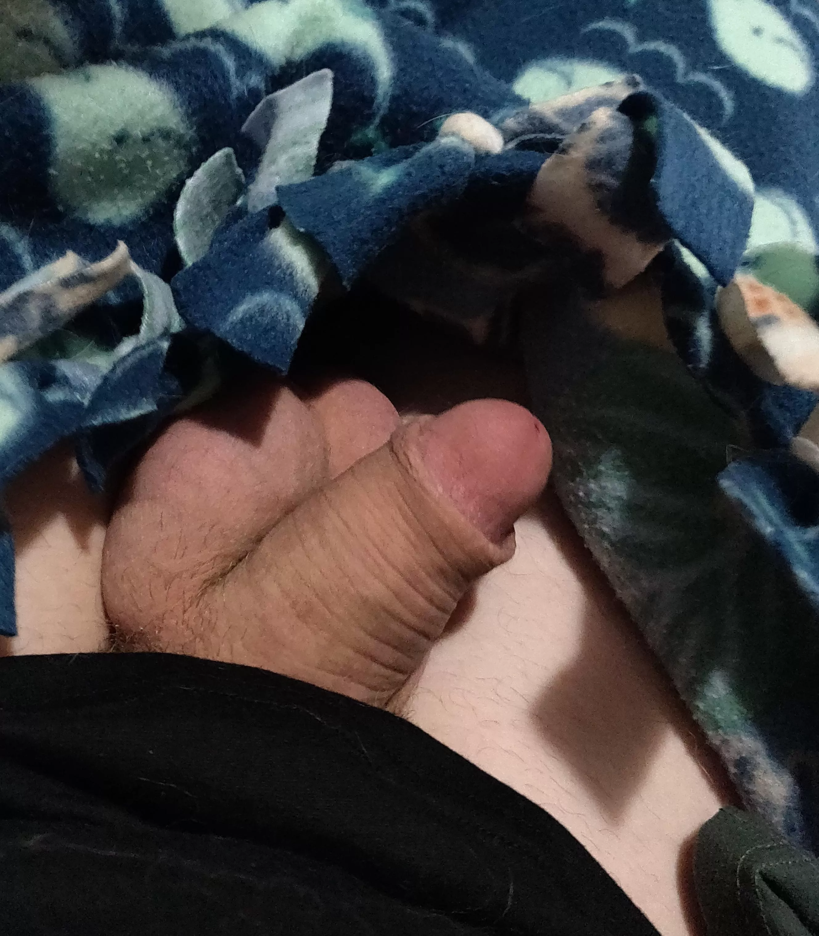 all nestled up under the blanket posted by ogstel