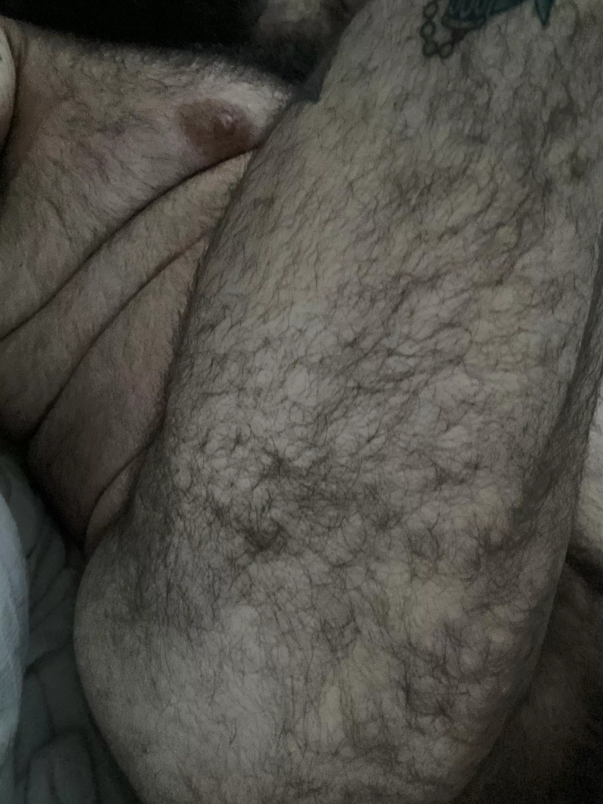 All over coverage. 🐻 posted by buni_bixler