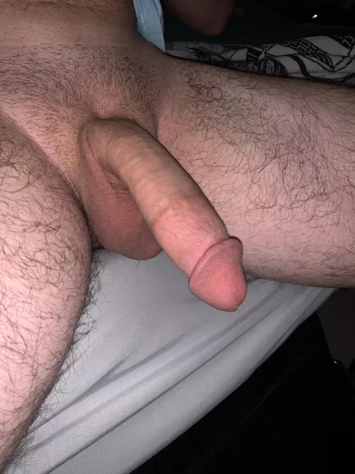 All people are created equal.. all cocks are not by _hung__