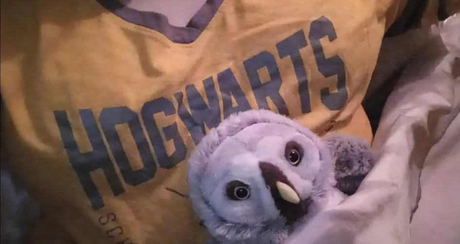 All tucked in! 🦡💛🖤💛🖤🦡 by SevereHawk6818