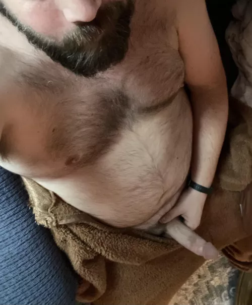 All warm and snuggly. Who wants to come join me? by bearlytherenow