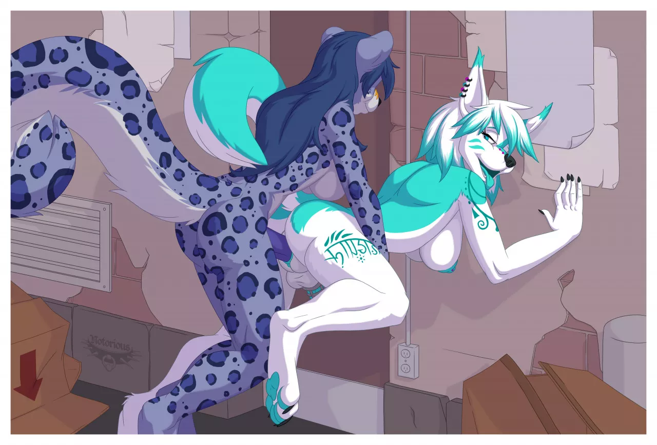 Alleyway [GH] (Notorious84) posted by OwO_Bot