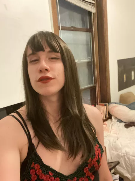 allou salut by harnesser