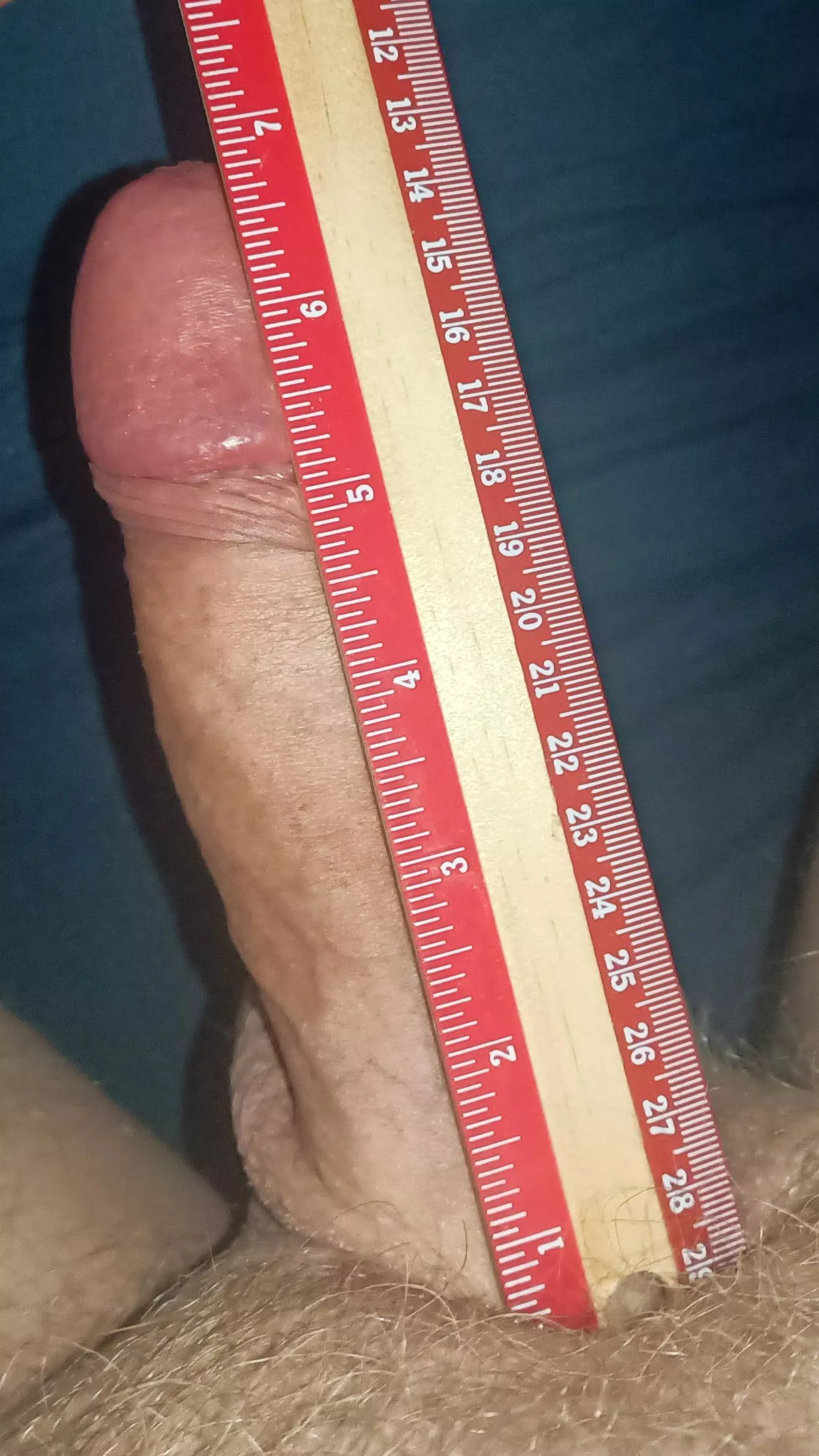 Almost 7 inches. posted by latvianamigo