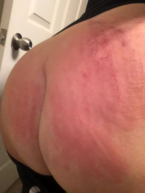 Almost every square inch covered by gardeniachick