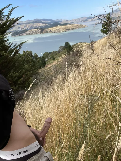 Almost to the top of this mounting by Maleficent_Mix_916