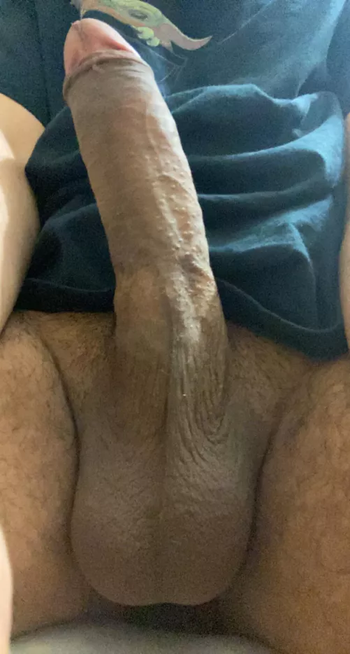 Alone & horny at night, let’s have a lil chat by arti-fact