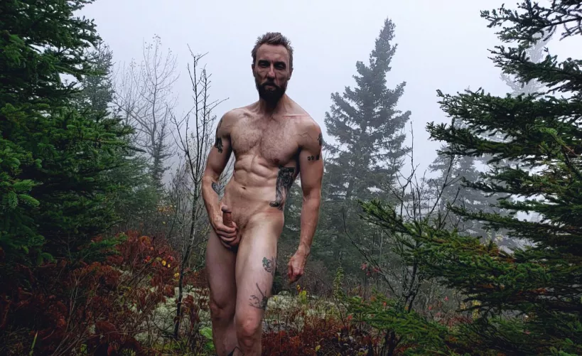 Alone in the forest by robin_goodfello