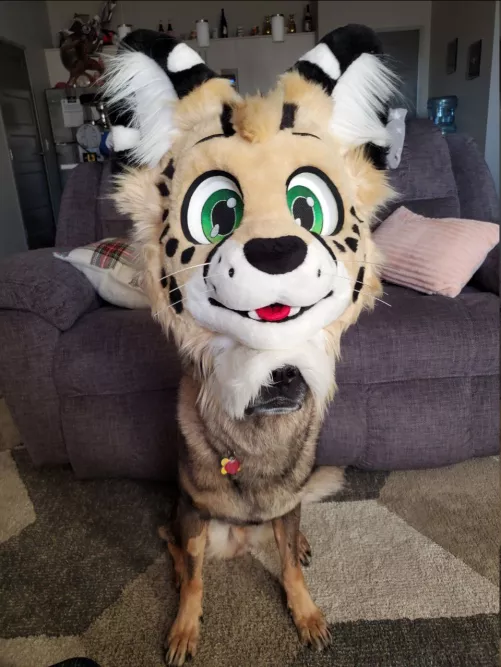 Alone in this world is a little CatDog by Spot_Kat