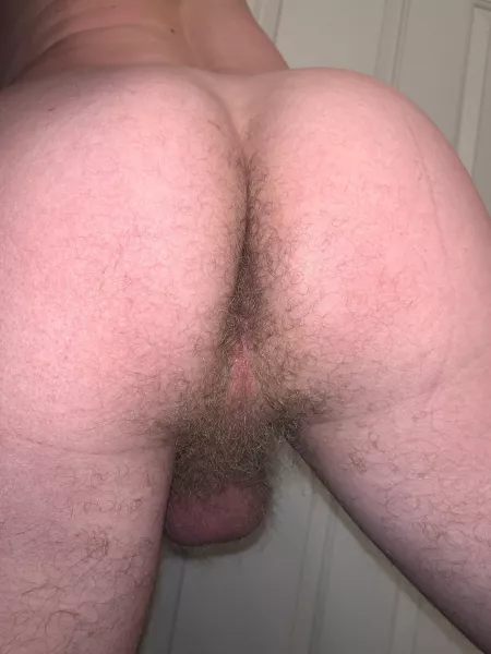 Also, ass pubes? Wax or embrace? by bf4986