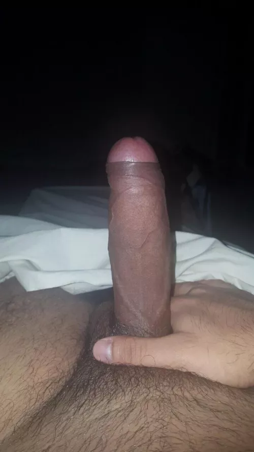 Always been curious about what reddit thinks! by beatmeallday