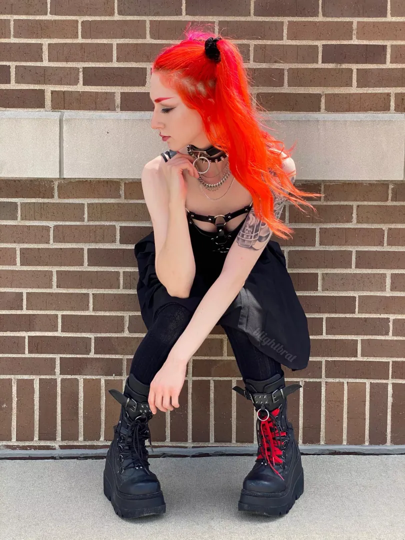 always collared no matter the situation ⛓ posted by blightbrat