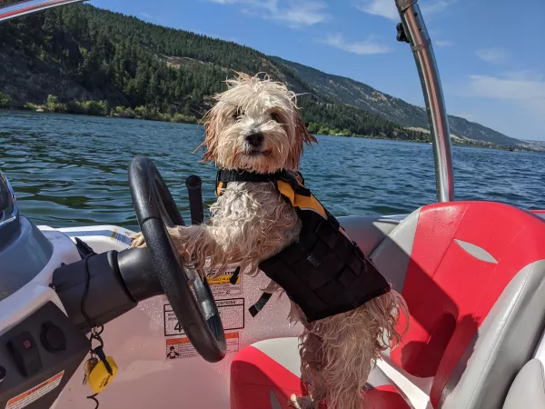 Always wear your life jacket when piloting the boat! by chunkstyle