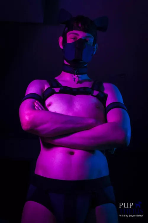 Am I a alpha pup now? 🥺 by Harbingers19