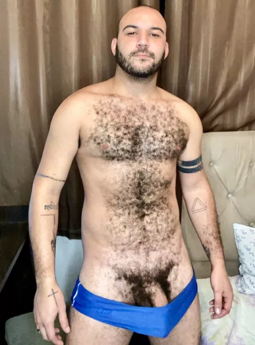 Am I a bear? by mineirobh