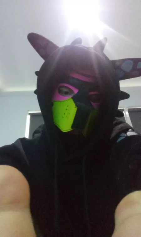 Am I a puppy or a dragon?🐕😋 by trytry243