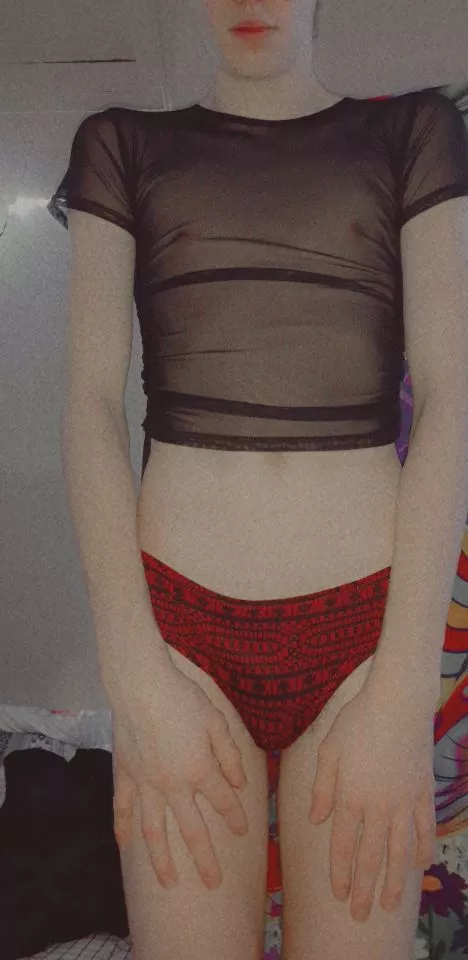 Am I cute enough? 😅 posted by narwhals_swiming