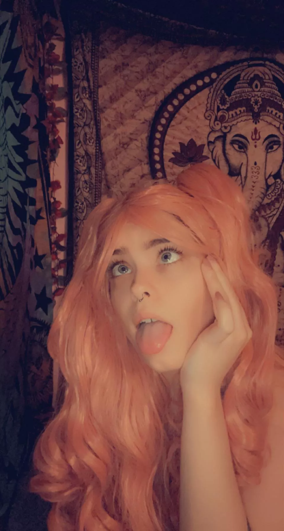 Am I cute sir? posted by Conscious_Kitchen535