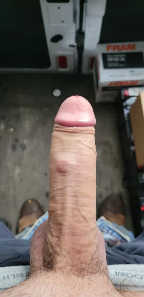 am I wold enough for here (23) by Impossible-Ad-2069