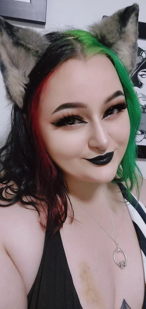 Am the goodest girl take me on walkies pls 🐺🐺 by mazikeenlupae