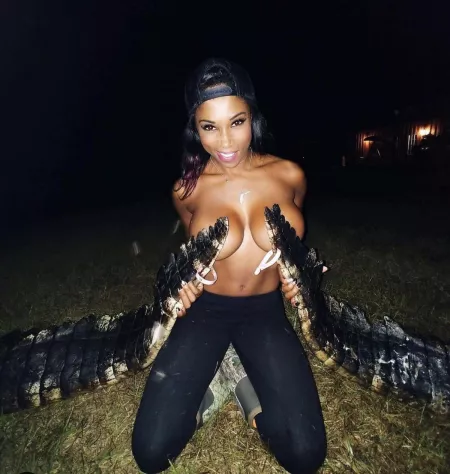 Amazing Catch by Decepticon-LockDown