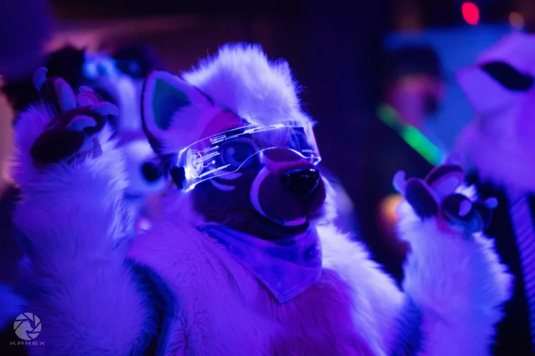 Ame on the Dancefloor at Furstrike! Have a fluffy Thursday 📸 Karex by xakifox