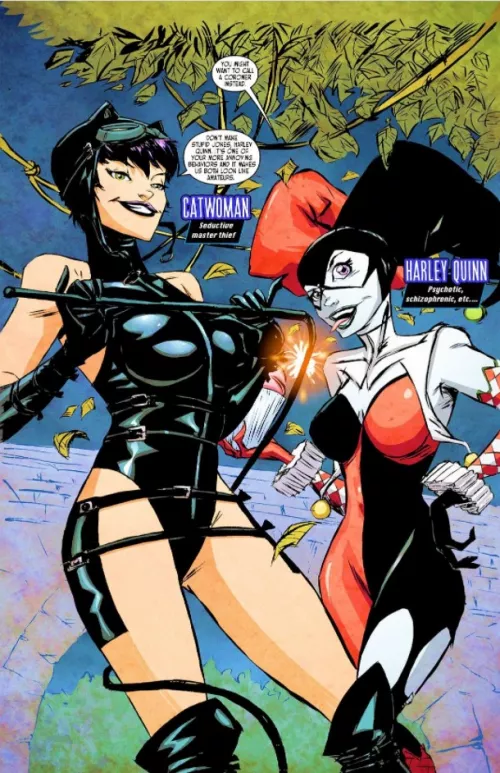 Ame-Comi Catwoman & Harley Quinn [Ame-Comi: Batgirl #1 (Digital)] by lordhater1