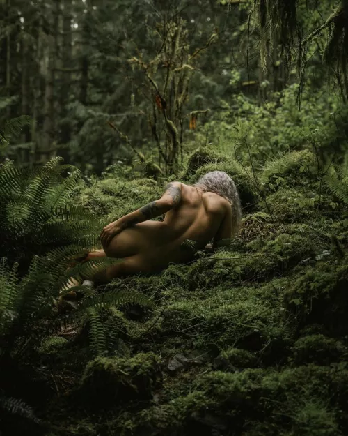 Among The Ferns by digitalcitizenalpha