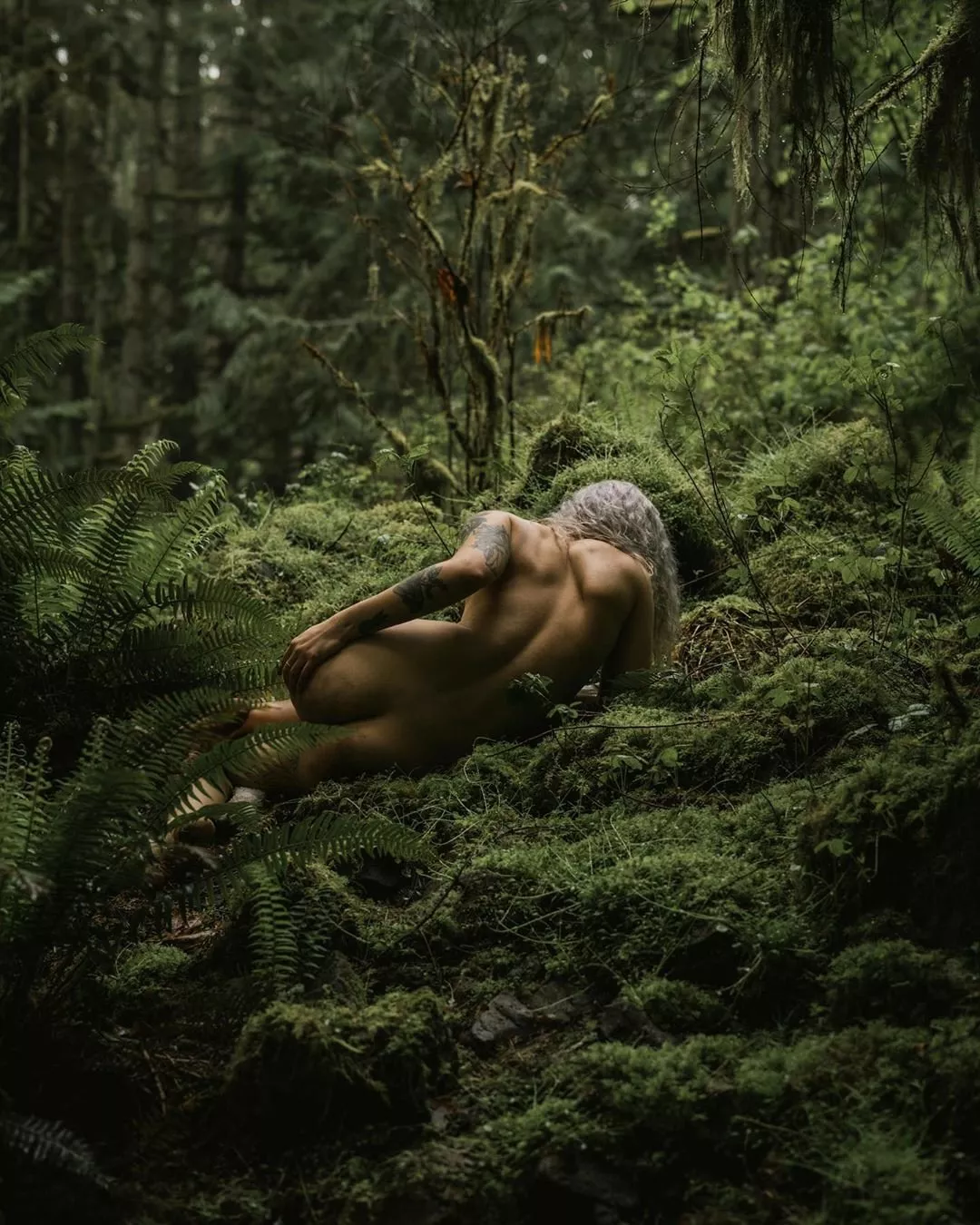 Among The Ferns posted by digitalcitizenalpha