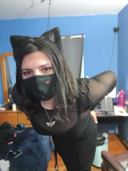 Amused catboy 😎 by PeterMunchlett