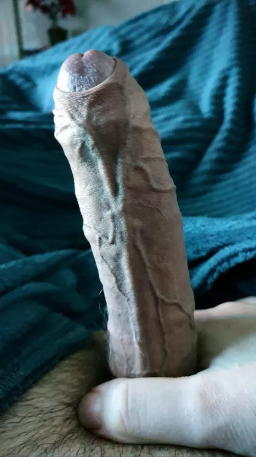 An interesting title by ThePleasurePump