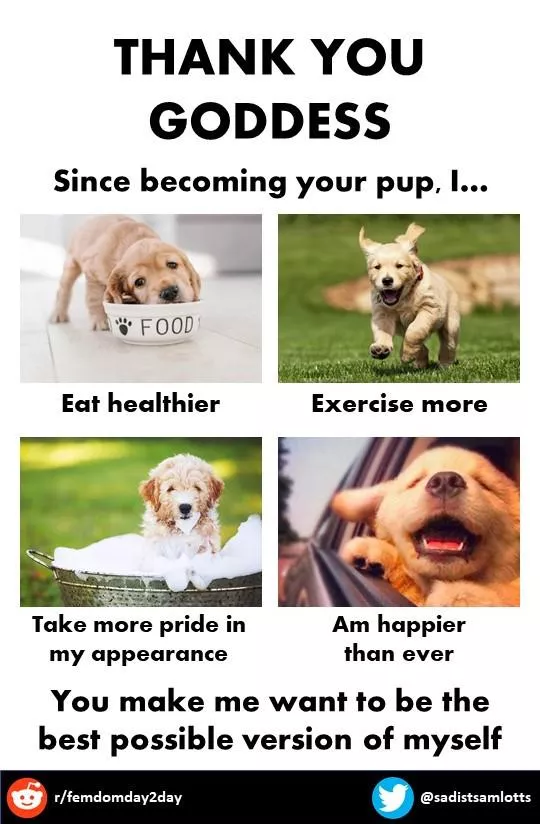 An open message to my Goddess ❤️🔐🐶 posted by slave4useuk