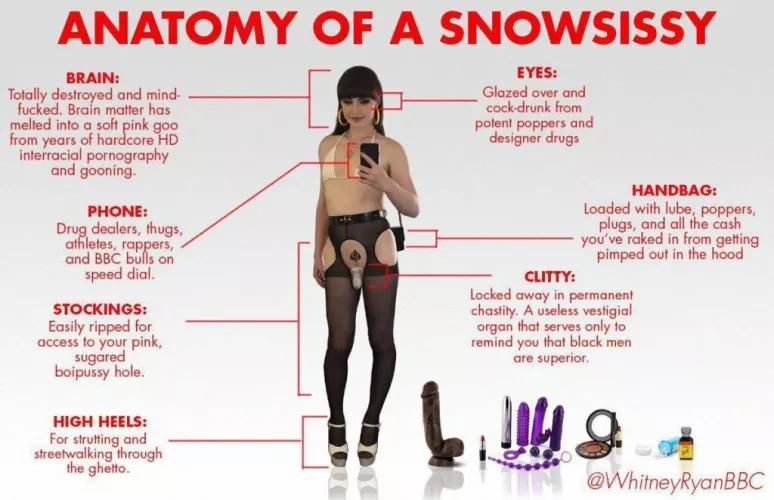 Anatomy Class by LucyShyCD