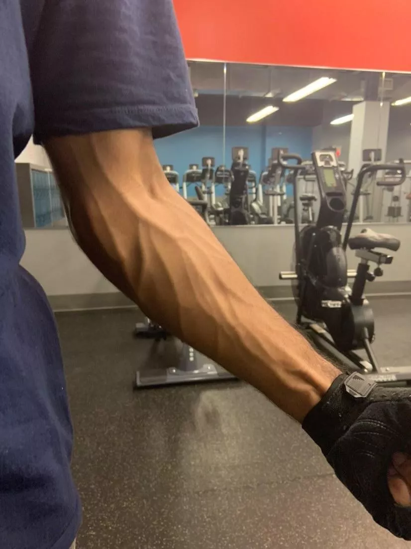 Anime and chill, anyone? [20M] posted by RadiantLegacy