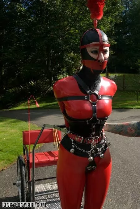 Anna Rose ready to go for a ride posted by rubber_bound
