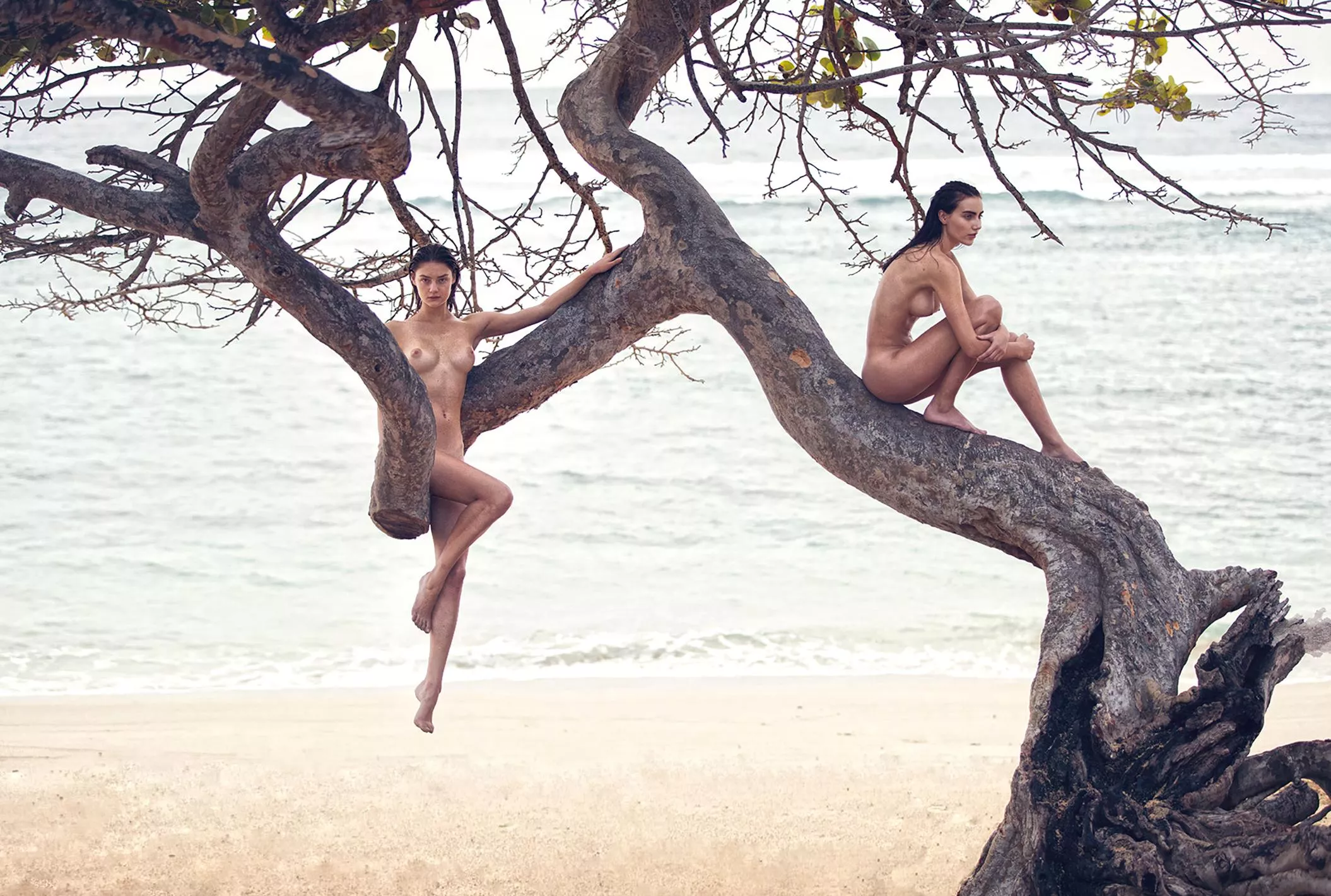 Anna Wolf & Vika Levina by David Bellemere for Treats posted by deckard222