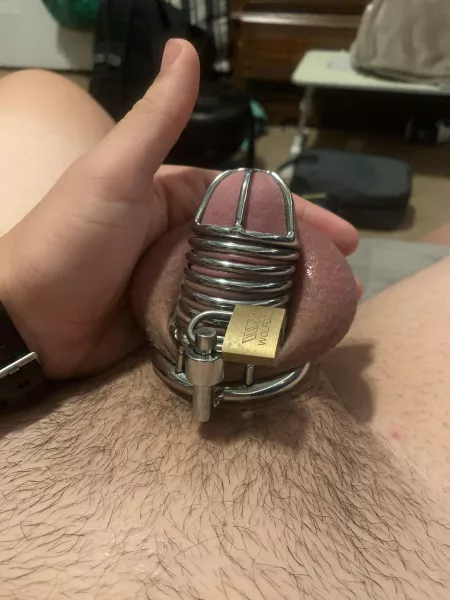 Anndddddd Locktober is started by Little_Hoogs