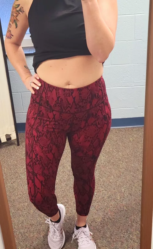 Another day, another workout!! by nlicious01