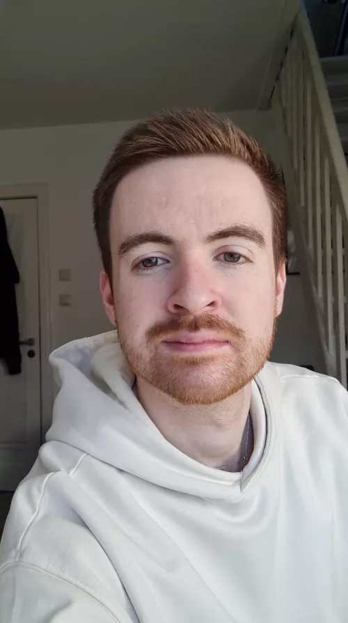 Another day of home office | M24 from Germany by turqoisevoodoodoll