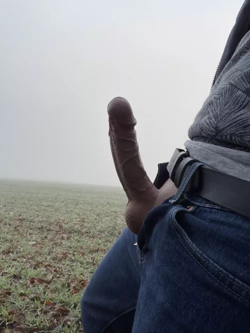 Another pic from this morning by SamandLucas