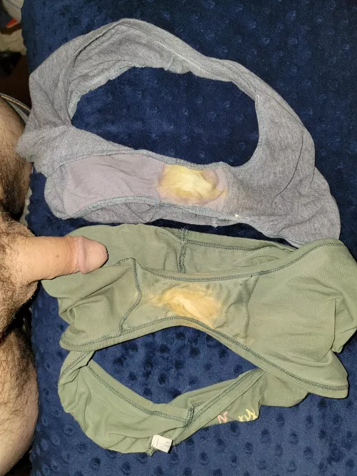Another set of my wife's dirty panties by smalldickhubby2020