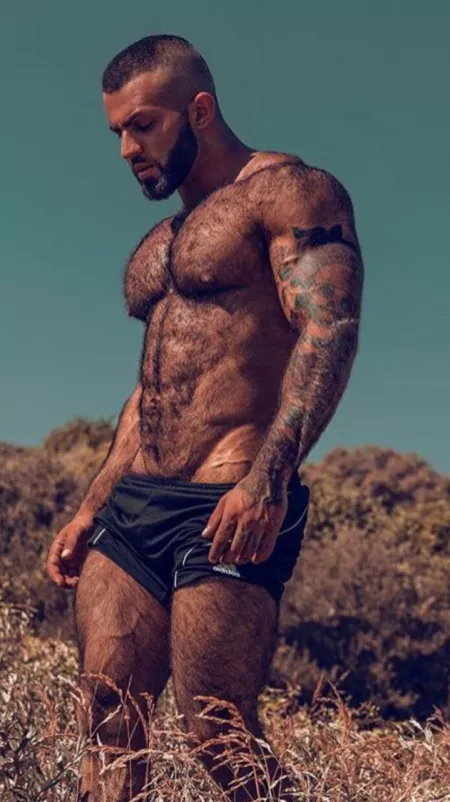 Another werewolf by Poxpilot