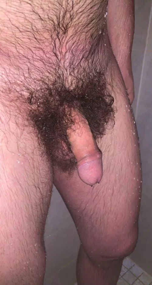 Another year, another year without trimming! by Bush_Buddy