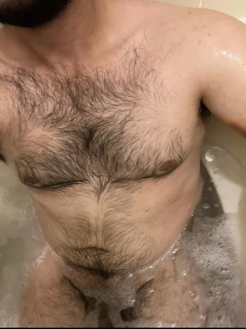 Any bear bud wants to join? by texan1916