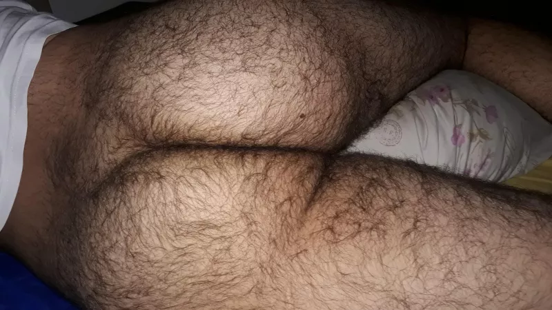 any big bear ?? by fatnutXD