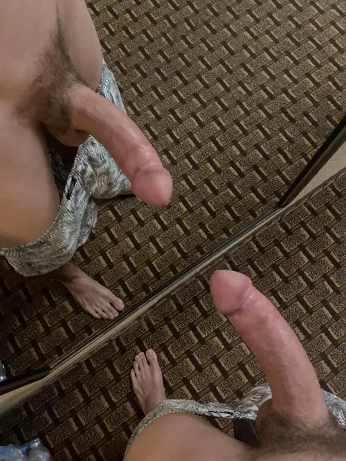 Any bush fans out there? by BlueeyeBunn3y