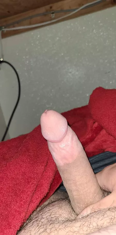 Any chance there's a bottom from Louisiana in here by Hemilyfe97